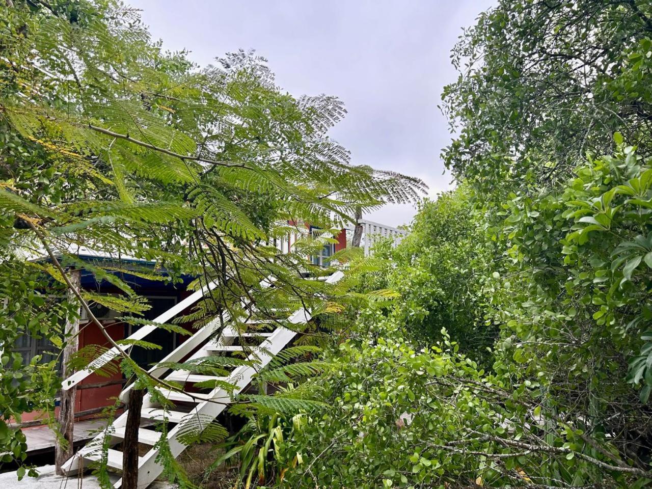 Bed and Breakfast Casa Kubler Puerto Ayora  Esterno foto